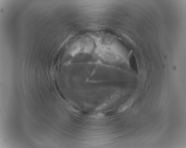 X0000075920576200610151909