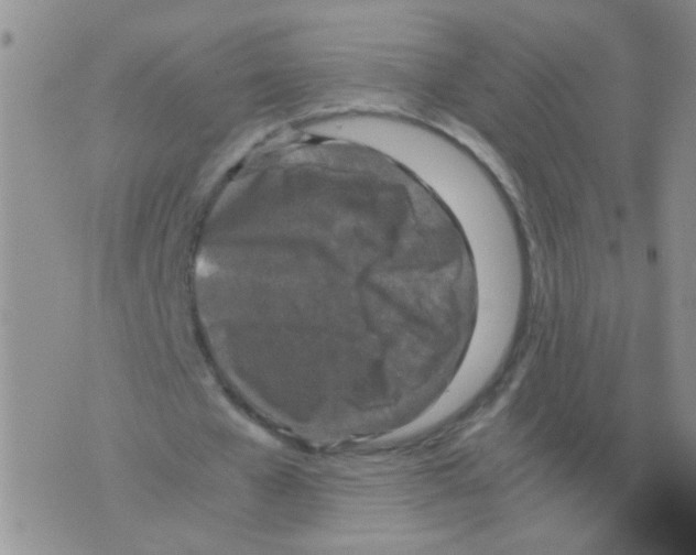 X0000075920577200610151909