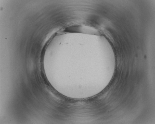 X0000075920578200610151908