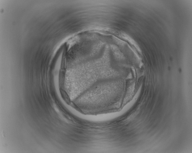 X0000075920580200610151908