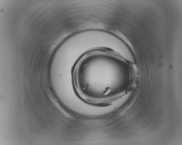 X0000075920581200610151908