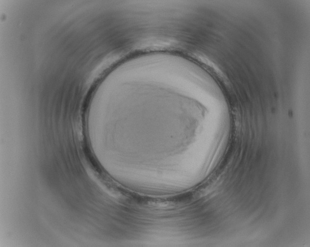 X0000075920582200610151908