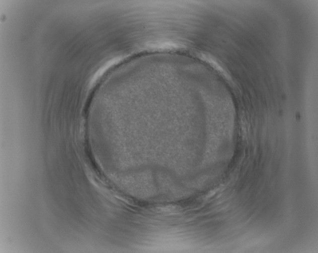 X0000075920583200610151908