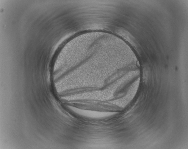 X0000075920584200610151908