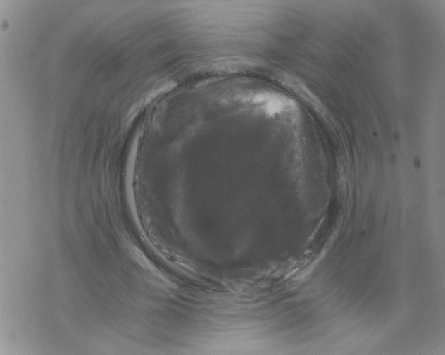 X0000075920585200610151908