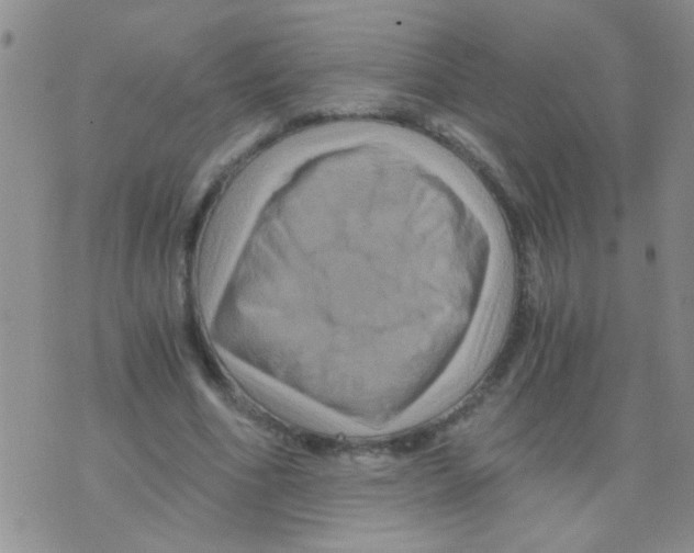 X0000075920586200610151908