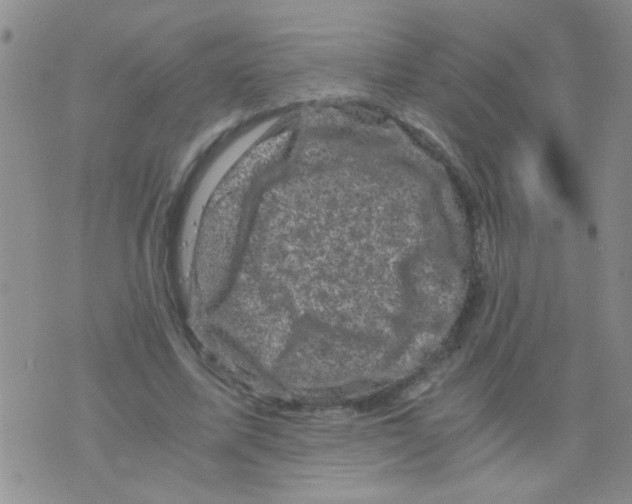 X0000075920587200610151908