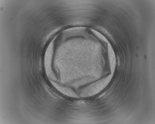 X0000075920588200610151908