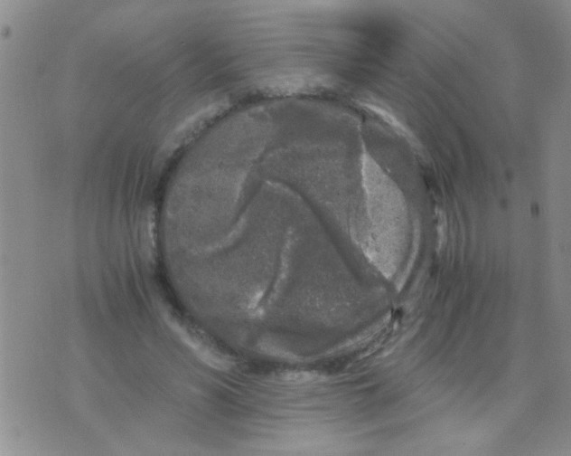 X0000075920590200610151908