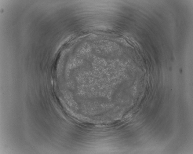 X0000075920591200610151908