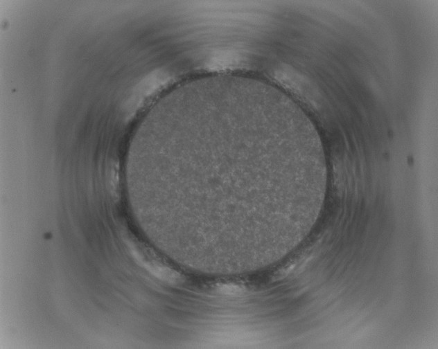 X0000075920592200610151908