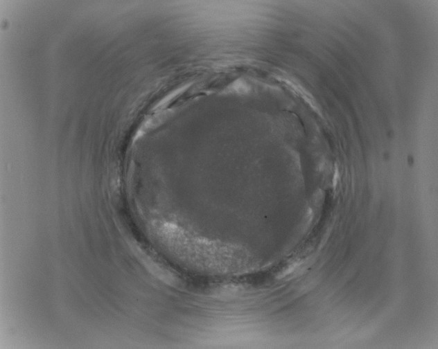 X0000075920593200610151908