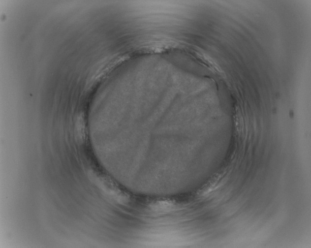 X0000075920594200610151908