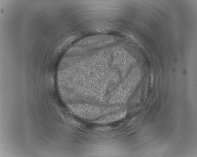 X0000075920595200610151908