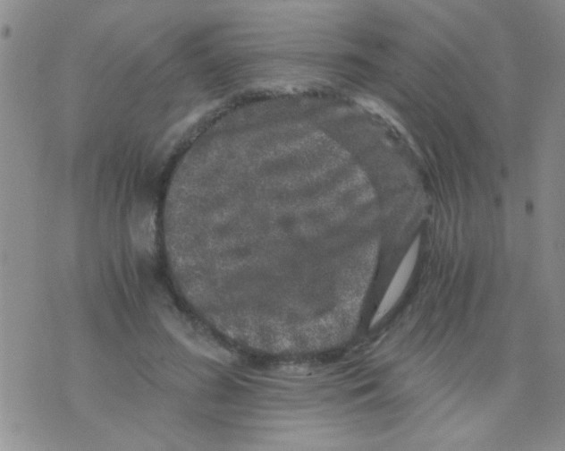 X0000075920596200610151908