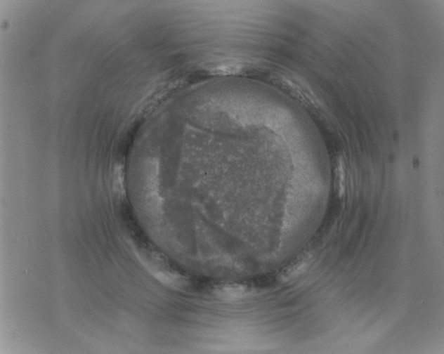 X0000075920598200610151908