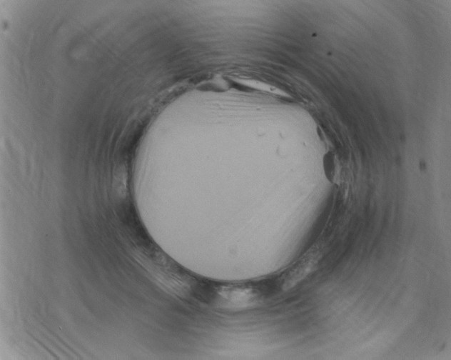 X0000075920602200610151908