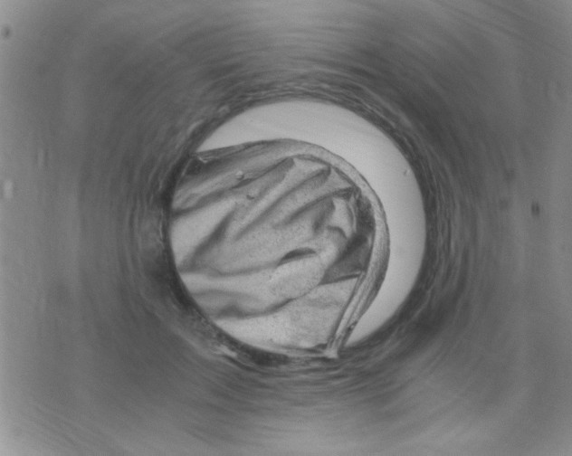 X0000075920603200610151908