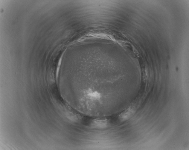 X0000075920606200610151908