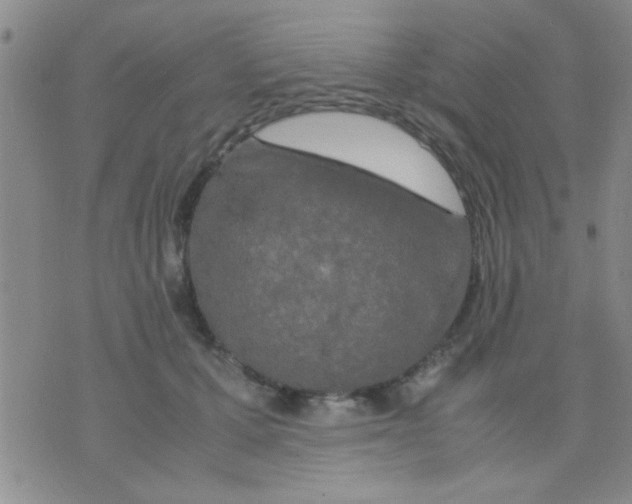 X0000075920607200610151908