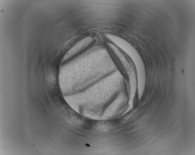 X0000075920608200610151908