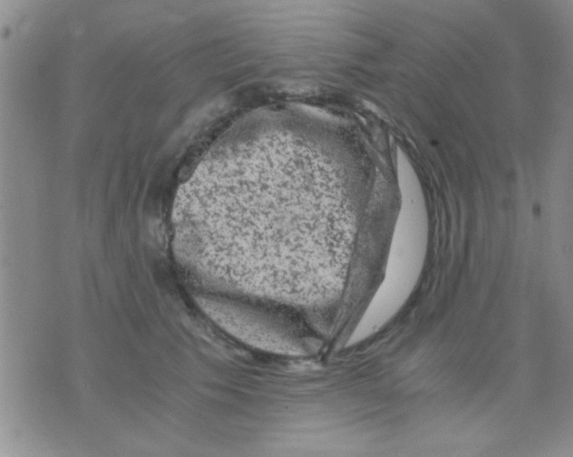 X0000075920609200610151908