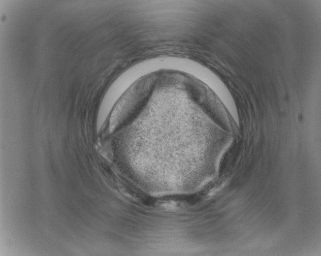 X0000075920611200610151908