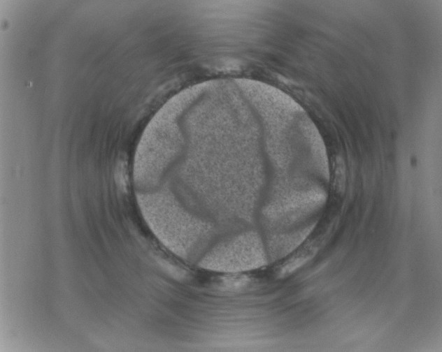 X0000075920612200610151908