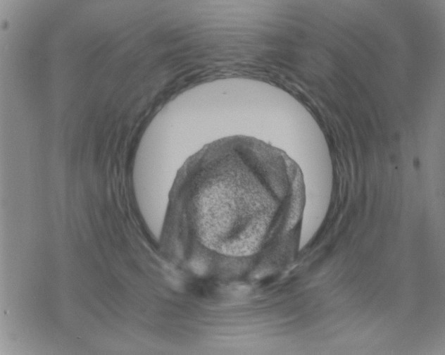 X0000075920613200610151908