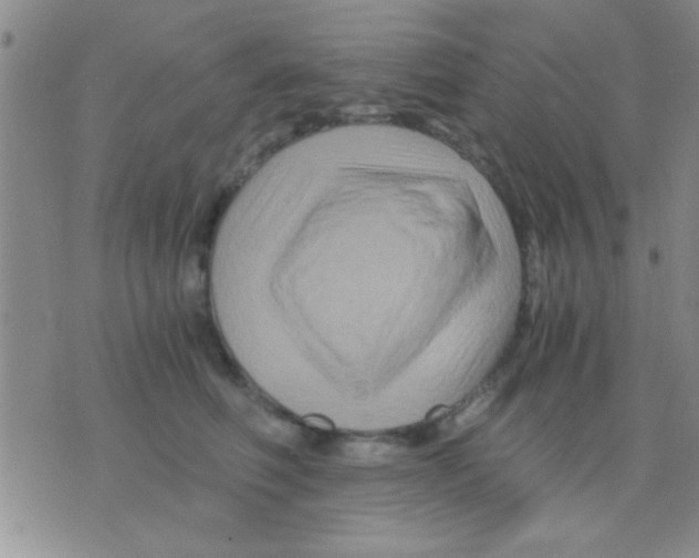 X0000075920614200610151908