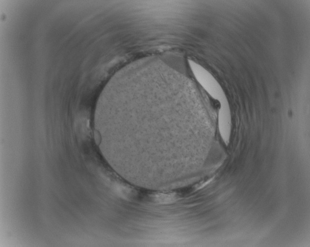 X0000075920615200610151908