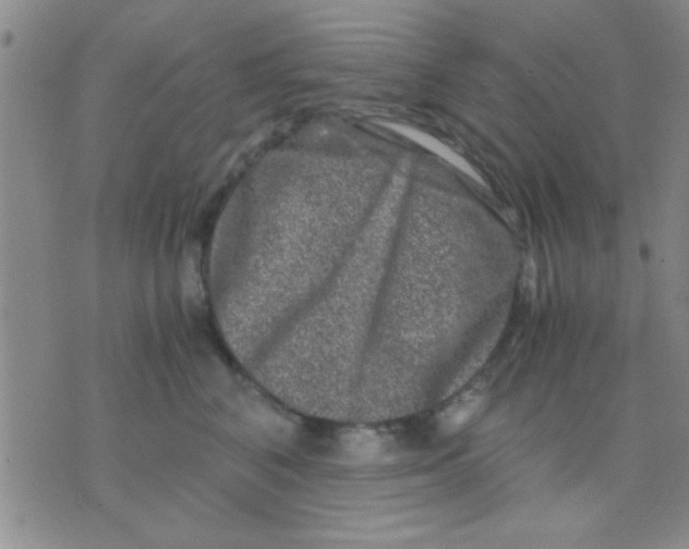 X0000075920616200610151908