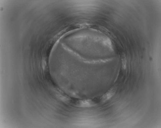 X0000075920618200610151908