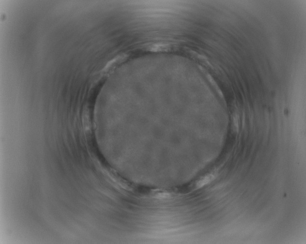 X0000075920620200610151908