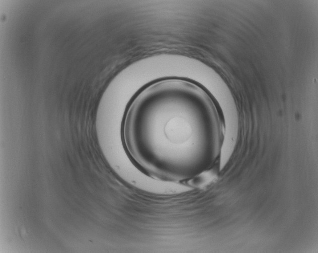 X0000075920621200610151908