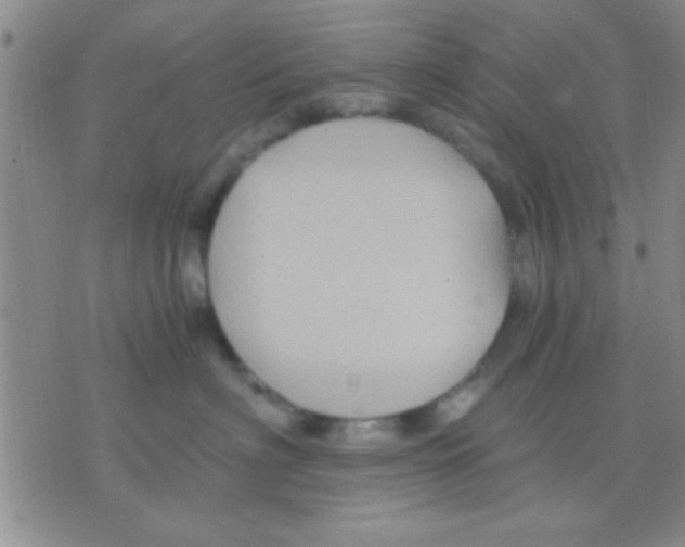 X0000075920622200610151908