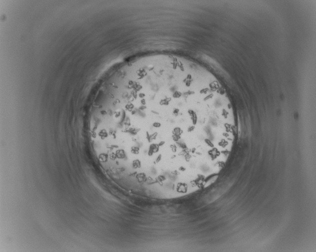 X0000075920627200610151907