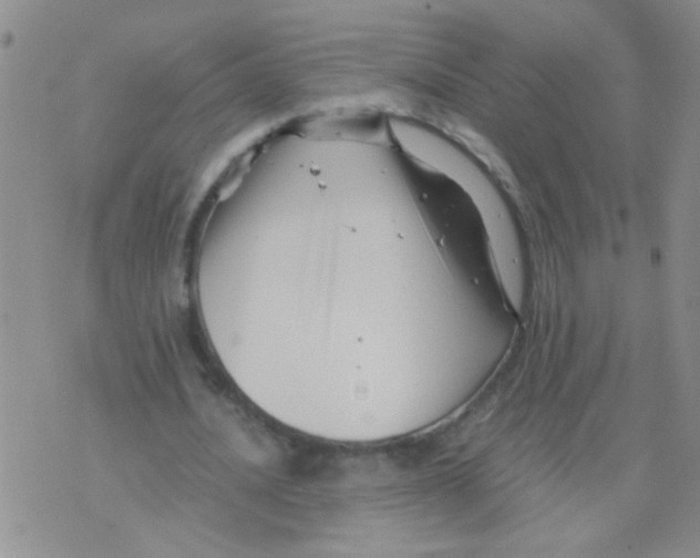 X0000075920628200610151907