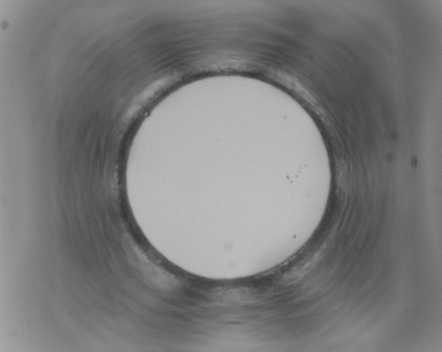 X0000075920629200610151907