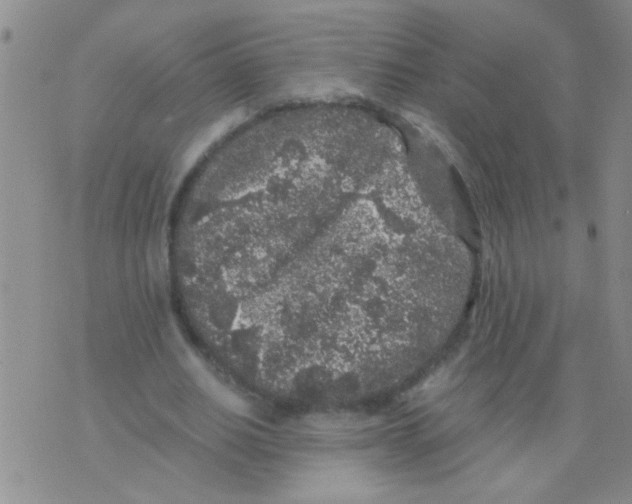 X0000075920630200610151907