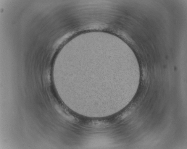 X0000075920632200610151907