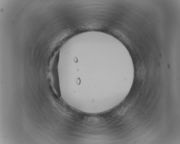 X0000075920635200610151907