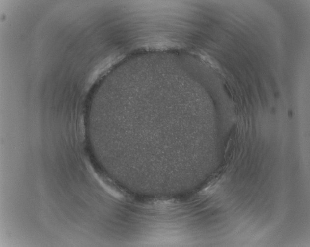 X0000075920638200610151907