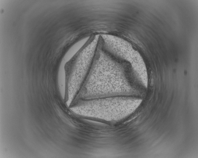 X0000075920639200610151907