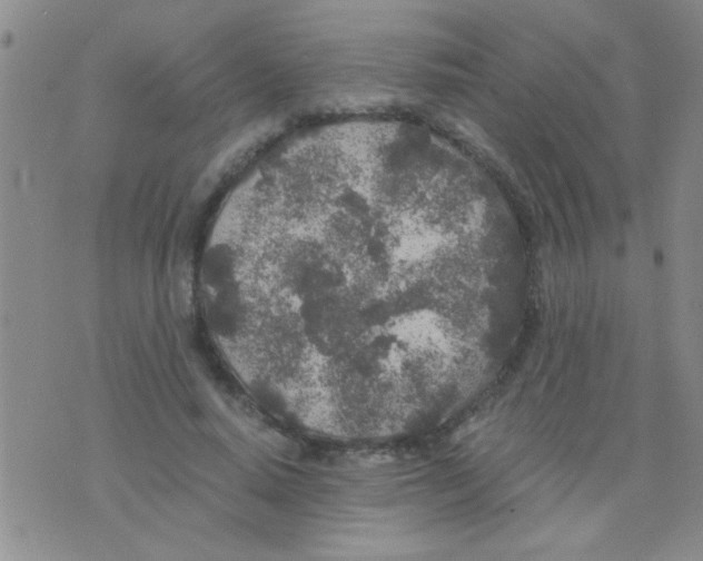 X0000075920640200610151907