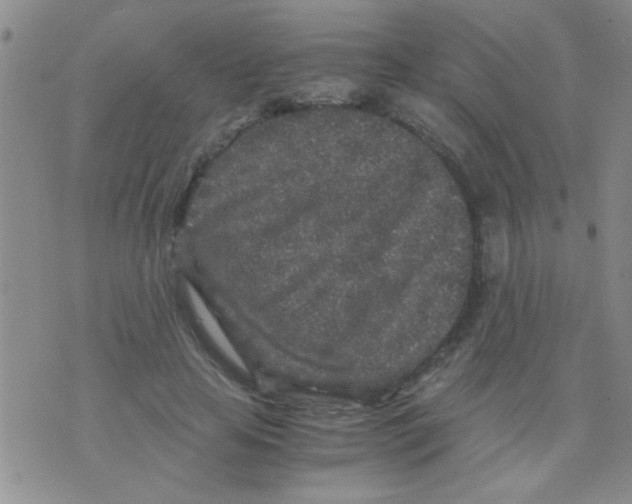 X0000075920641200610151907