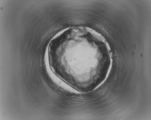 X0000075920643200610151907