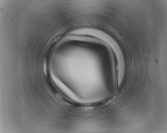 X0000075920644200610151907