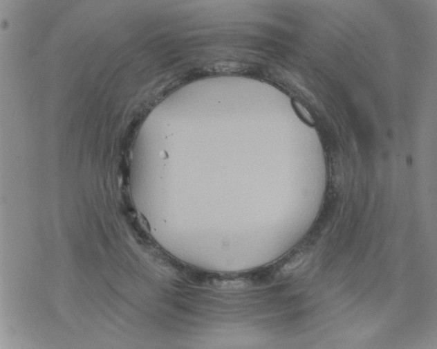 X0000075920645200610151907