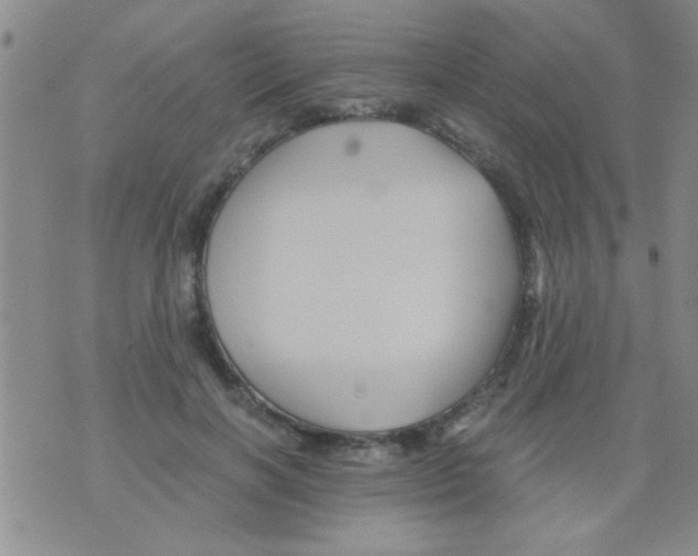 X0000075920646200610151907